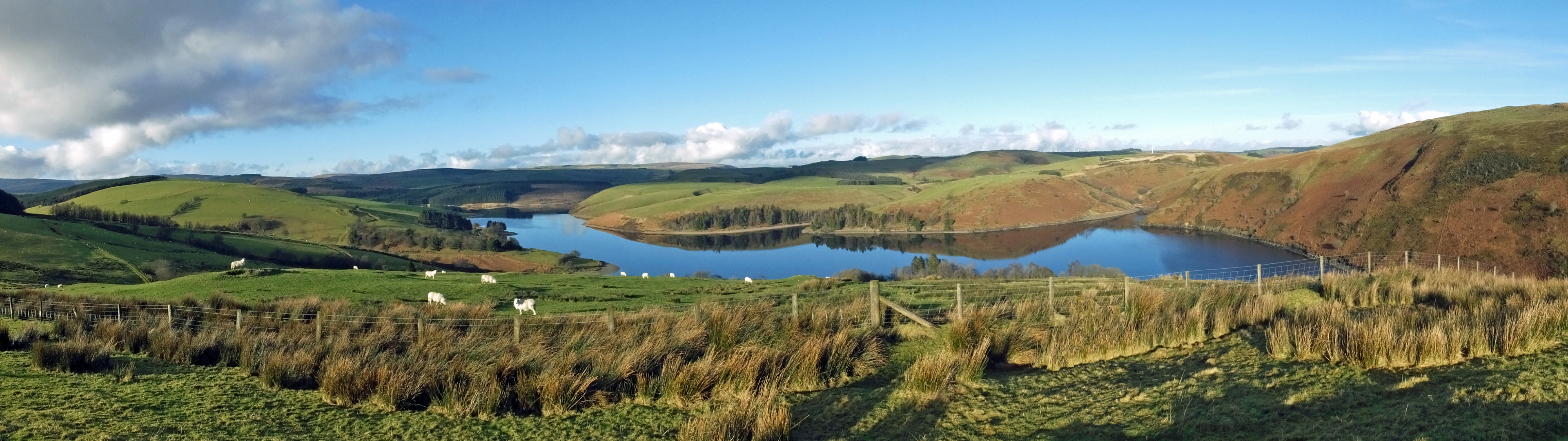 CLYWEDOG VIEW Bill Bagley Photography